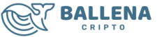 Ballena Cripto: Tu Guía de Inversiones en Criptomonedas